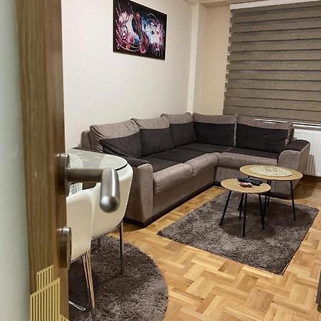 Mirkovic Lux Apartman Ni Eksteriør bilde