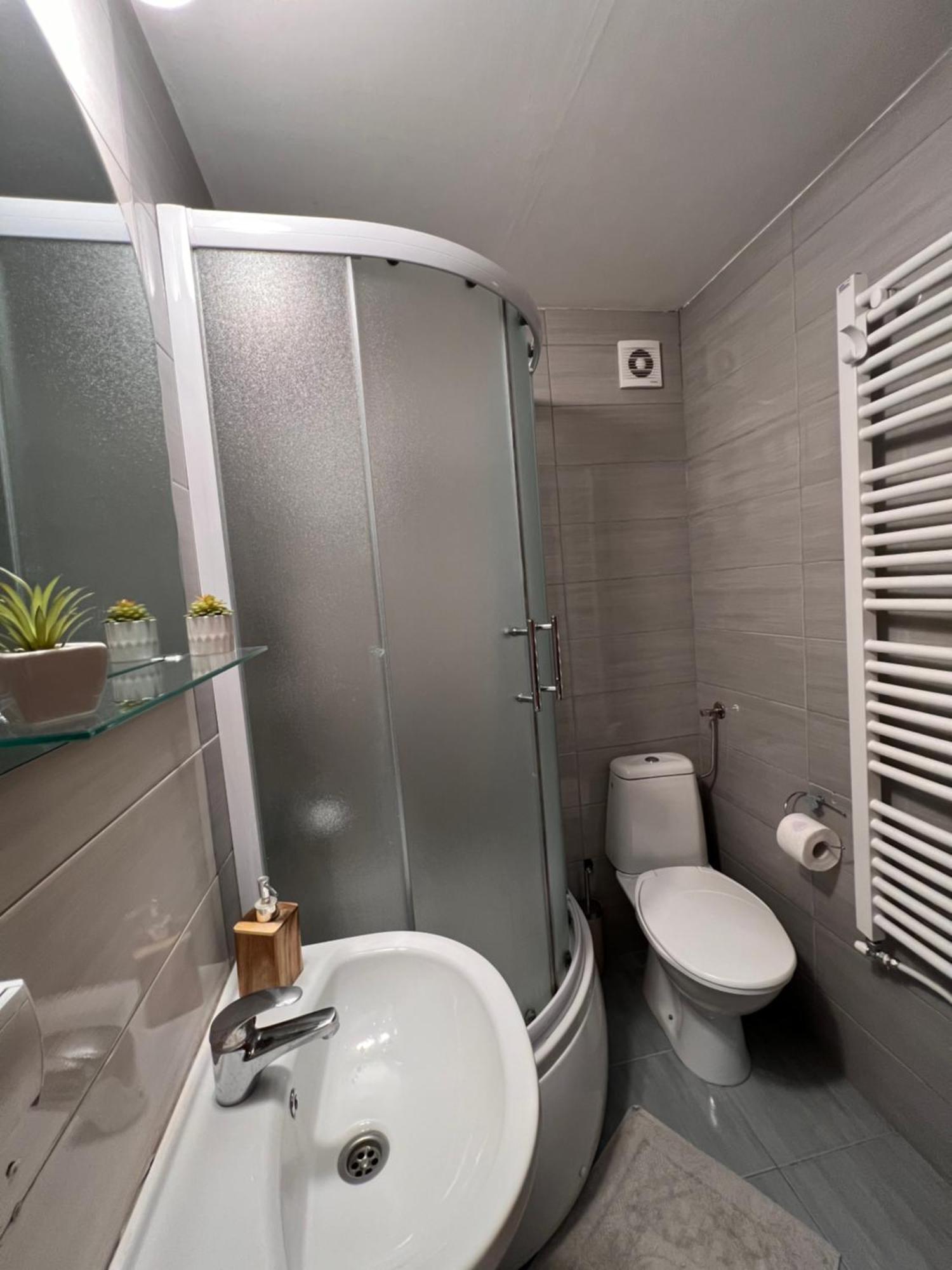 Mirkovic Lux Apartman Ni Eksteriør bilde