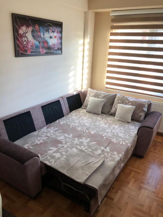 Mirkovic Lux Apartman Ni Eksteriør bilde
