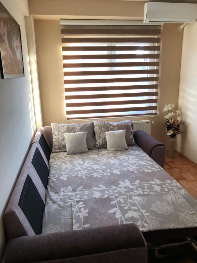 Mirkovic Lux Apartman Ni Eksteriør bilde